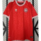 2025 denmark home fans jersey