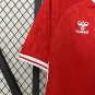 2025 denmark home fans jersey