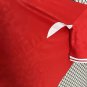 2025 denmark home fans jersey