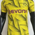 2025 dortmund jersey away soccer shirt jersey 23 _1