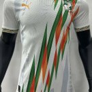 2025 ivory coast jersey special edition 23&34 shirt football soccer cote d'ivoire jersey_1