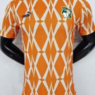 2025 ivory coast jersey special edition 23&34 shirt football soccer cote d'ivoire jersey_2