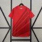 2025 jersey  paranaese home