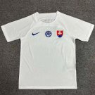 2025 jersey slovakia away fans
