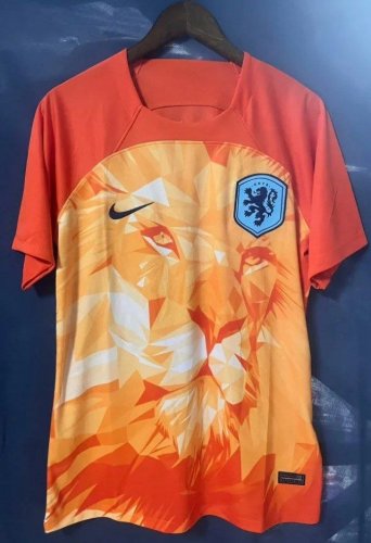 2025 netherlands holland special version orange jersey