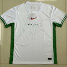 2025 nigeria home soccer jersey_1