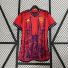 2025 spain special edition jersey