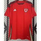 2025 wales home jersey fans