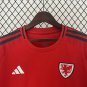 2025 wales home jersey fans