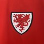 2025 wales home jersey fans