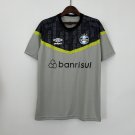 Gremio Jersey 23 24 training Soccer Jersey