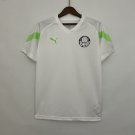 Palmeiras Jersey 23 24  Edition Soccer Jersey Palmeiras