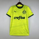 Palmeiras Jersey 23 24 Away Soccer Jersey Palmeiras