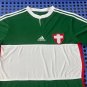 palmeiras 14 green white s-xx