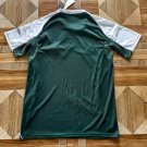 Panathinaikos Home Soccer Jersey 25 26-c2197