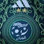 Algeria 24-25 green player version 2 stars version S-XXL