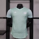 Algeria 25-26 light green player verison S-XXL