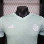 Algeria 25-26 light green player verison S-XXL