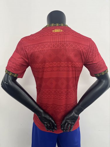 Brazil 25-26 jordan red player version