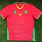 Cameroon 25-26 away
