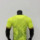 Cameroon 25-26 green player verison