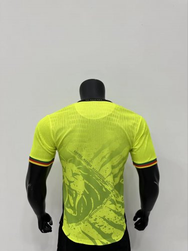 Cameroon 25-26 green player verison