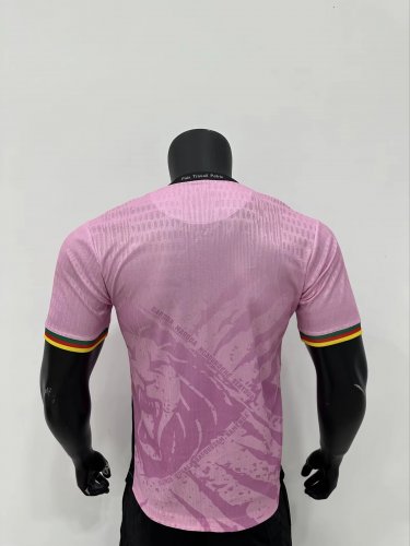 Cameroon 25-26 pink player verison
