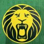 cameroun 25 home player version s-xxl