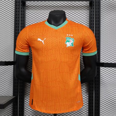 Ivory Coast 24-25 home player version s-2XL