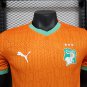 Ivory Coast 24-25 home player version s-2XL