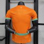Ivory Coast 24-25 home player version s-2XL