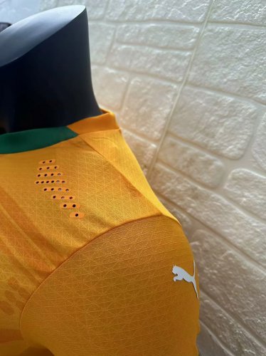 Ivory Coast 24-25 home player version s-2XL_CM_1