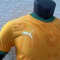 Ivory Coast 24-25 home player version s-2XL_CM_1