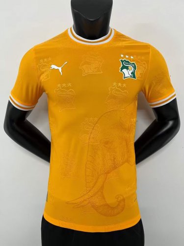 Ivory Coast 24-25 orange player version s-2XL