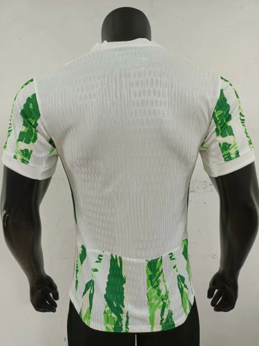 Nigeria 25-26 home player version S-2XL
