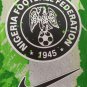 Nigeria 25-26 home player version S-2XL