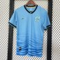 Panama 25-26 away S-4XL