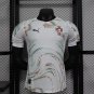 portugal 25 away player version