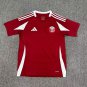 Qatar 24-25 home s-xxl