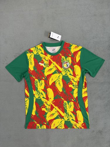 Senegal 24-25 green special version s-xxl