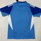 Chivas 25-26 blue gk S-XXL