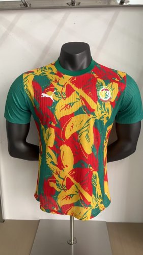 Senegal 24-25 special player version S-XXL
