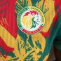 Senegal 24-25 special player version S-XXL