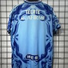 tigres 25-26 blue S-4XL