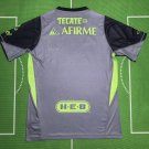 tigres 25-26 gray S-3XL
