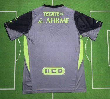 tigres 25-26 gray S-3XL