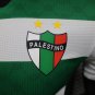 Palestino 24 third green white player version S-2XL