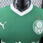Palmeiras 25-26 home player verison S-4XL