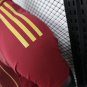 Roma 24-25 home player version