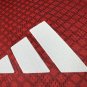 ajax 25-26 home player version